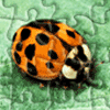 Lady Bug Jigsaw